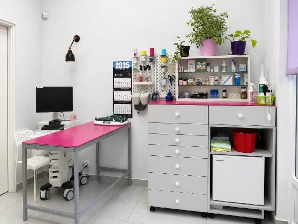 Nowy Vitalvet - Opieka Nad Psem I Kotem, Usg, Rtg, Weterynarz Kraków 4